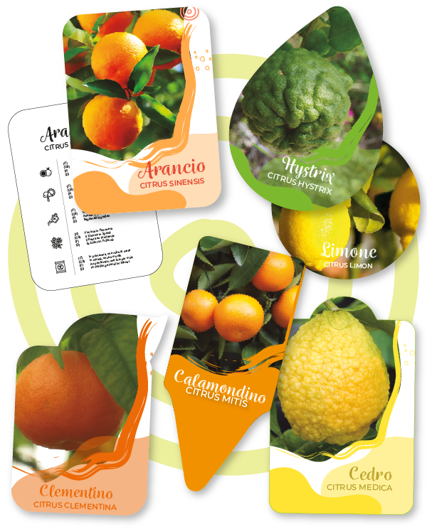 You are currently viewing Cartellini per settore vivaistico
